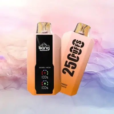 Bang 25000 Puffs 超大屏幕 超大容量可充電拋棄式電子煙 18 bang 25000 puffs拋棄式電子煙